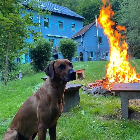 Appartement Ommelsbacher Muehle