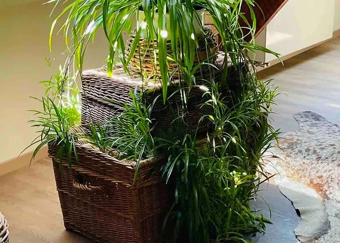 Ommelsbacher Muehle Apartamento *