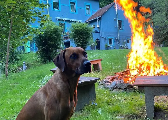 Apartamento Ommelsbacher Muehle