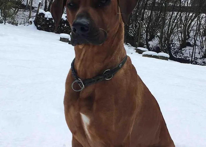 Ommelsbacher Muehle * Isenburg